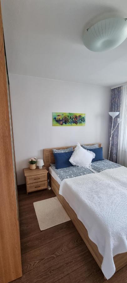 Santariskes Apartment 维尔纽斯 外观 照片