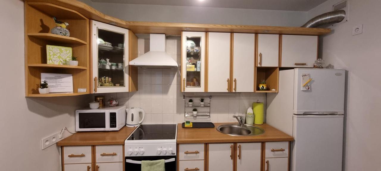 Santariskes Apartment 维尔纽斯 外观 照片